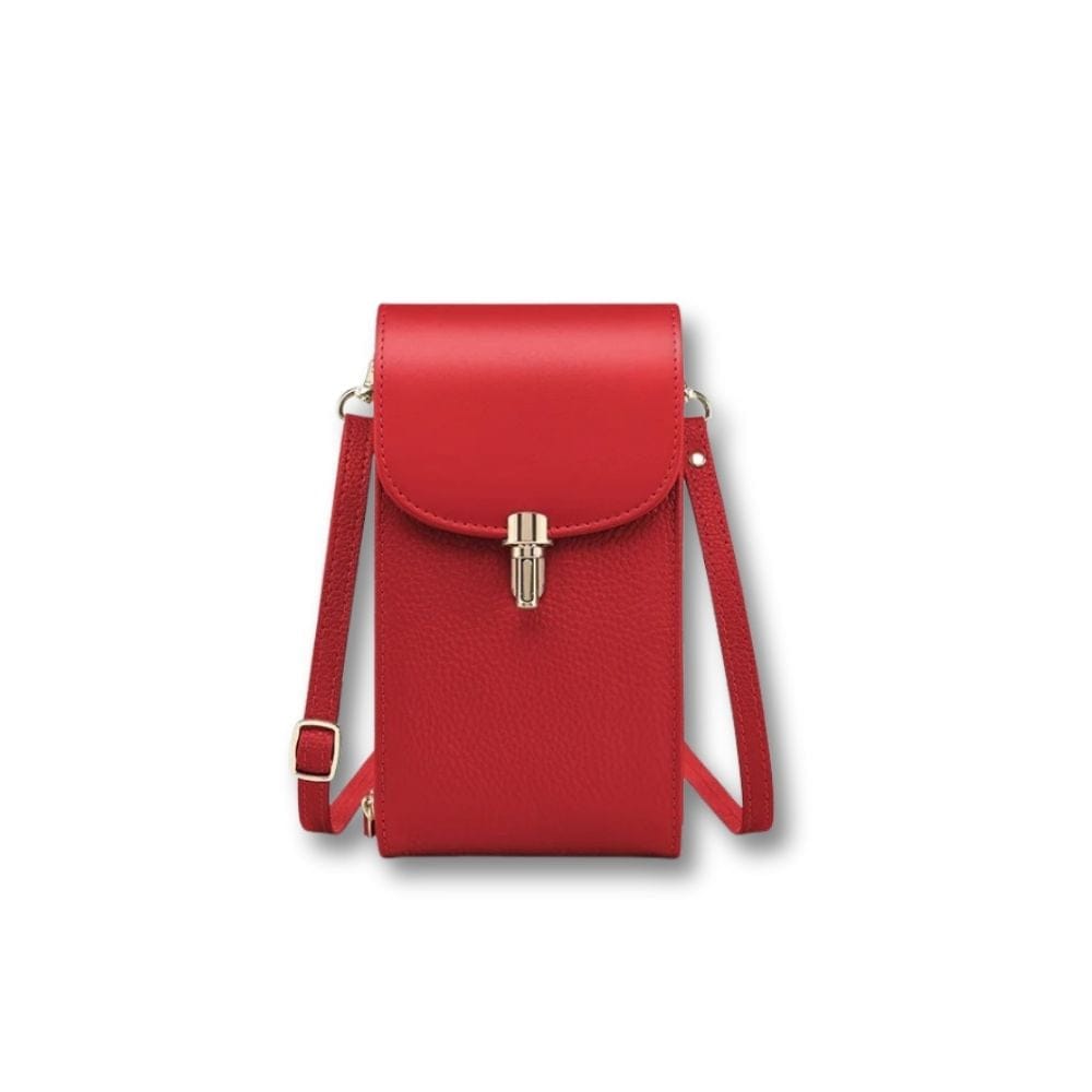 Mini Sacoche Tendance en Cuir Femme